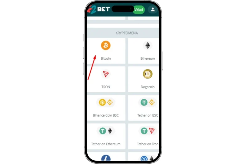 Výber spôsobu platby bitcoin kasíno vklad